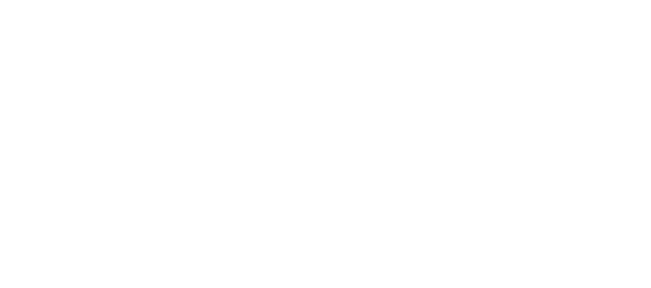 Intro animation